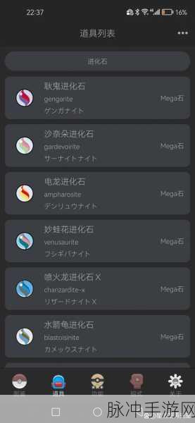 口袋妖怪终极红宝石，全面解析Mega石获取攻略