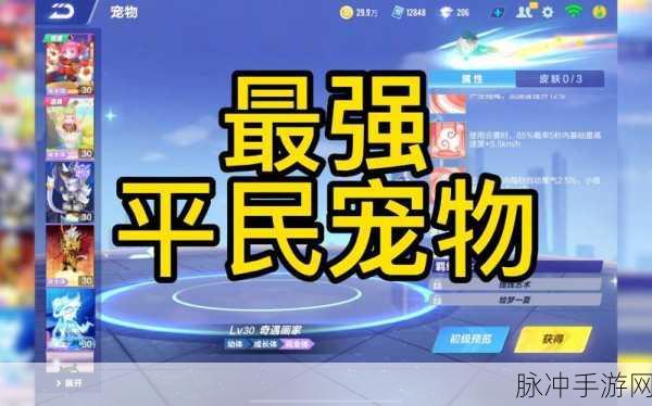 QQ飞车手游宠物技能全解析，探寻最强技能组合