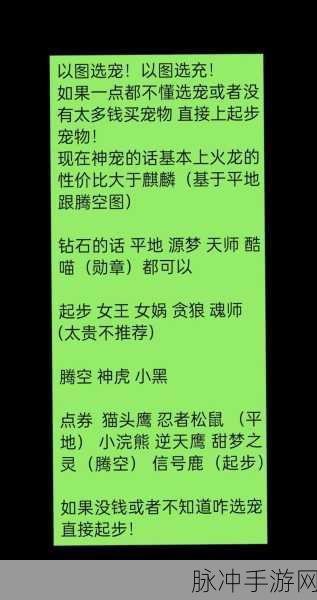 QQ飞车手游宠物技能全解析,探寻最强技能组合