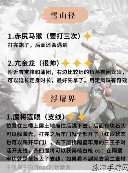 少年西游记深度攻略,揭秘重天副本高阶玩法与实战绝技