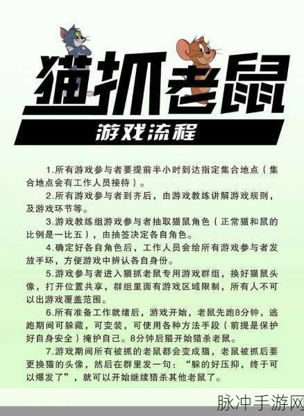 猫和老鼠,欢乐互动游戏攻略,猫玩家技巧深度解析与实战心得分享