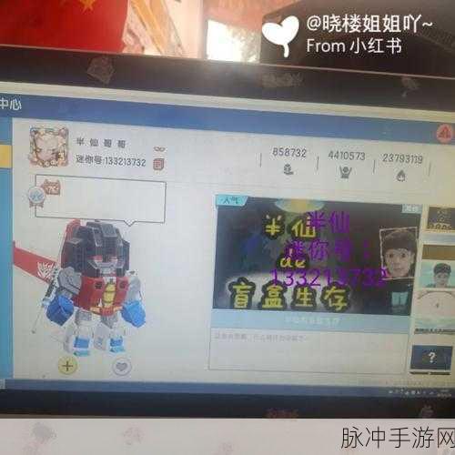 迷你世界账号密码遗忘解决方案,手游公司官方指南