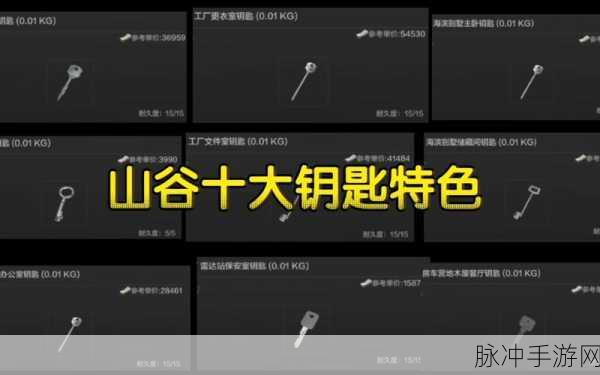 暗区突围山谷钥匙全面入手攻略，解锁财富与胜利的神秘钥匙