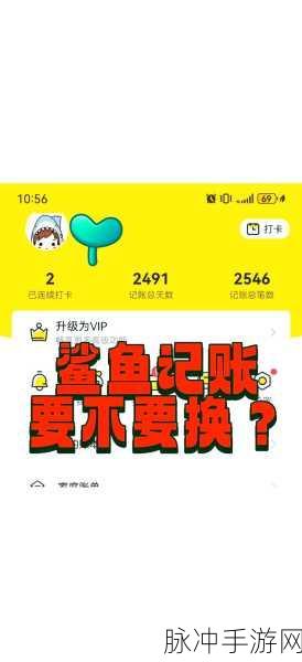 手游攻略秘籍，鲨鱼记账Widget设置全解析