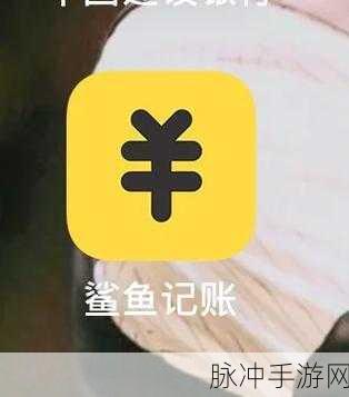 手游攻略秘籍,鲨鱼记账Widget设置全解析