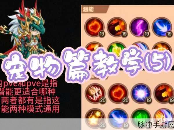 造梦无双宠物选择指南,强力宠物推荐,助你征战四方