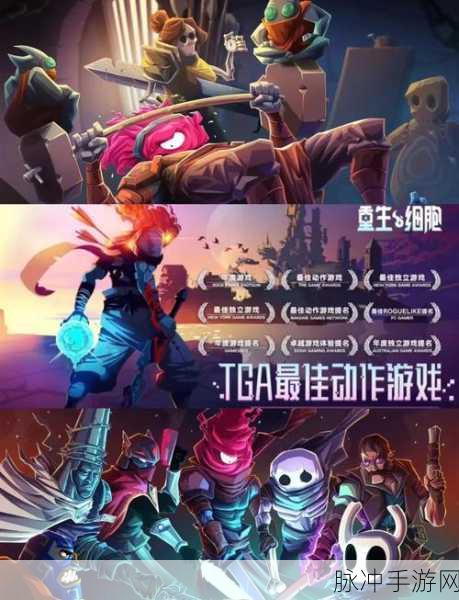 重生细胞手游攻略，揭秘前往墓地的详细顺序