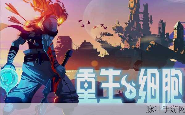重生细胞手游攻略，揭秘前往墓地的详细顺序