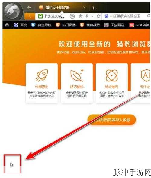 猎豹浏览器自动清理浏览数据，手游玩家的隐私保护秘籍