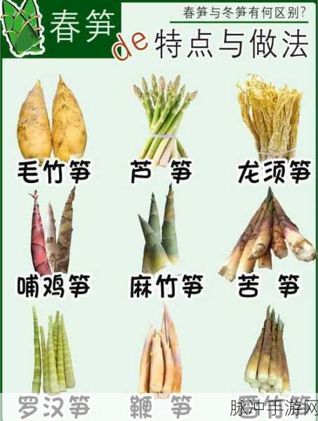 江南百景图之春笋盛景，徽州蔬菜春笋产地深度解析