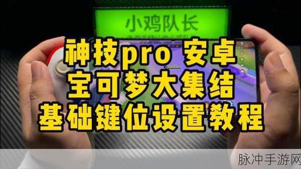 宝可梦大集结手游攻略,解决黑屏问题的全面指南