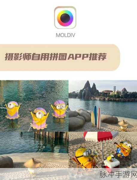 摄影师模拟游戏下载，探索可玩性十足的趣味模拟摄影世界