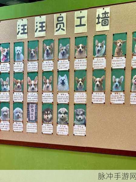 狗狗咖啡馆,打造你的趣味模拟经营乐园