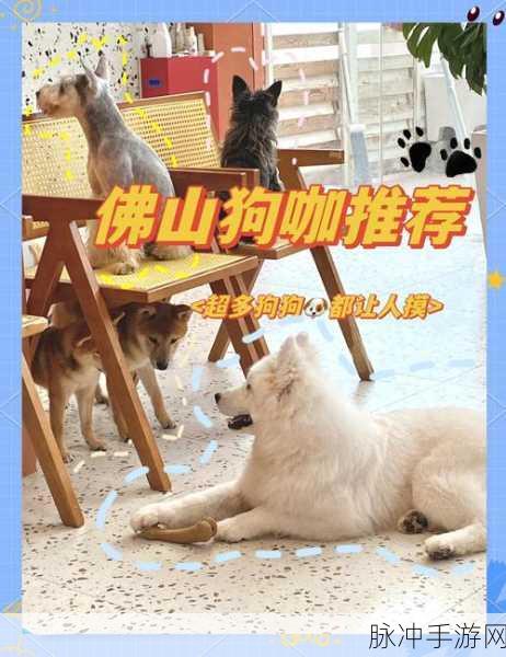 狗狗咖啡馆,打造你的趣味模拟经营乐园