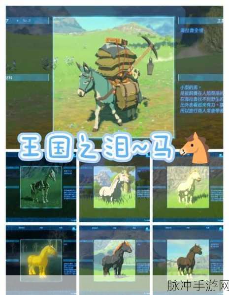 揭秘手游界的黑马，adarkhorse究竟意味着什么？