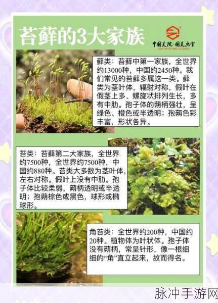 我的世界侏罗纪世界，苔藓种植与获取全攻略