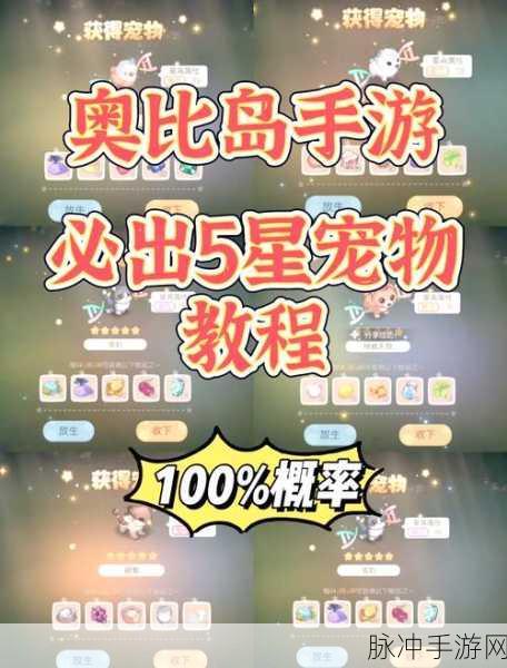 奥比岛宠物之家开启全攻略及详细操作指南