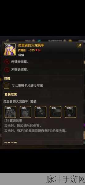 DNF手游攻略,弹药专家防具选择深度解析