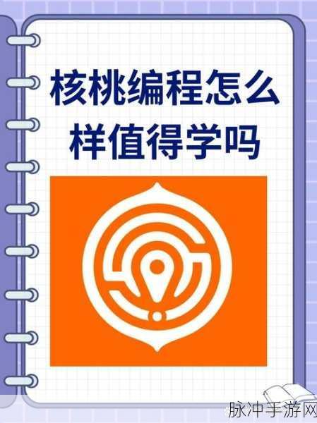 核桃编程,打造个性化我的世界手游体验