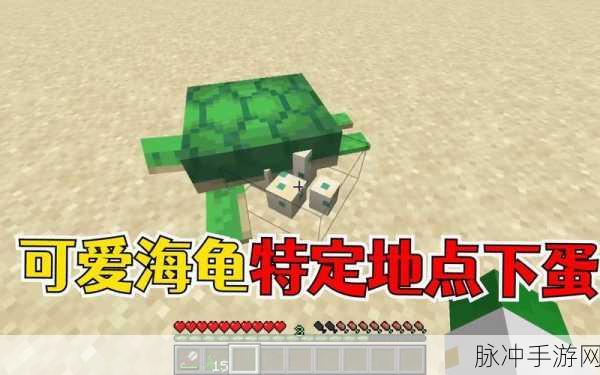 我的世界海龟帽子制作全攻略