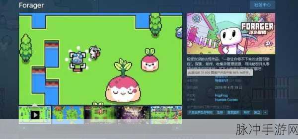 浮岛冒险Forager手机版,探索无限可能的种田生存冒险之旅