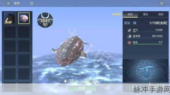 妄想山海青云丹使用方法全攻略,解锁灵游鲲,最大化提升你的游戏体验
