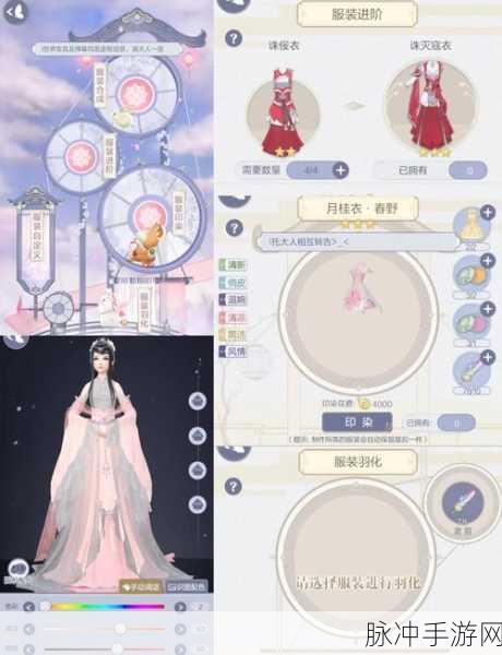 资源管理视角下,云裳羽衣无法捏脸问题的深度剖析与解决策略探讨