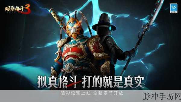 暗影格斗3最新版下载，带你领略极致刺激的冒险格斗之旅