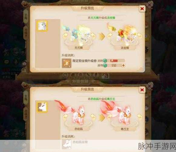 梦幻西游5000成就挑战，解锁毛驴坐骑的奇幻探索之旅