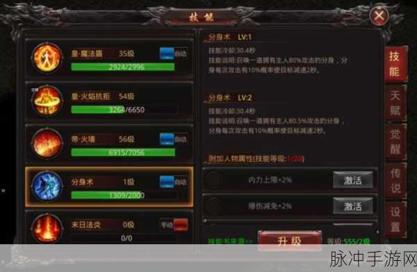 艾尔战记法师职业技能加点攻略，技能分配与升级策略深度探讨