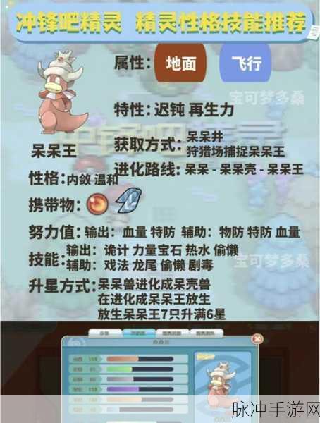 口袋妖怪火红,揭秘那些隐藏的石头之谜