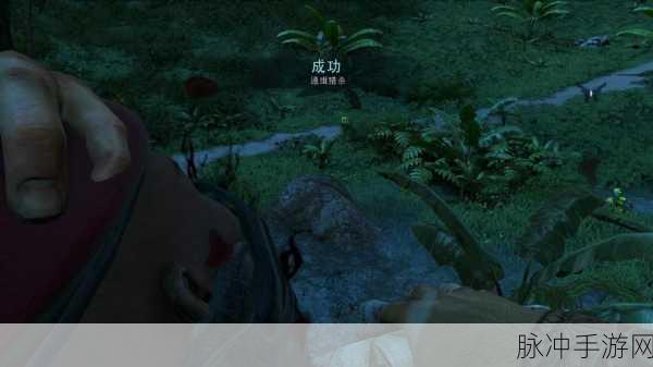 孤岛惊魂3猎杀鲨鱼经验分享，几大心得助你游刃有余，顺利生存战斗之路