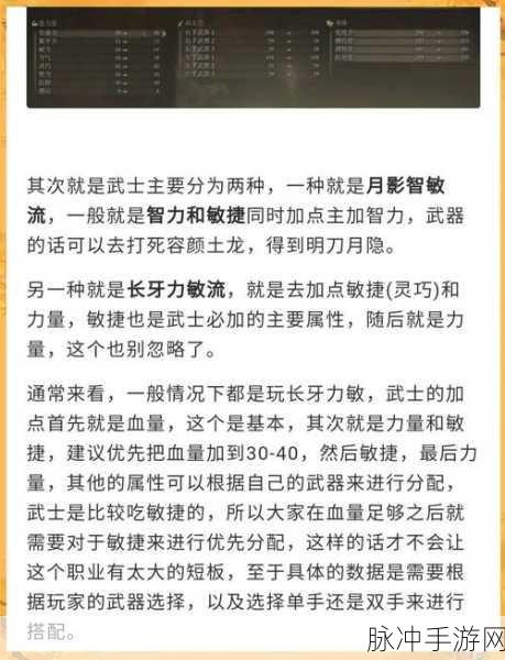 艾尔登法环深度解析，法师与武士实力对比，谁才是顶尖职业？