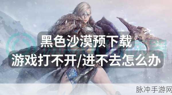 黑色沙漠手游深度攻略,玩转这片神秘大陆的全面指南