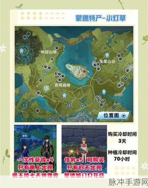原神3.8版本小灯草收集全攻略,解锁高效采集路线