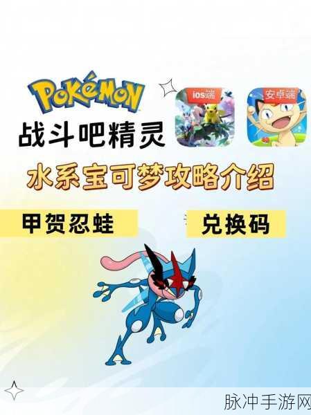 宝可梦大集结最新资讯,甲贺忍蛙技能详解与战斗策略全面升级攻略