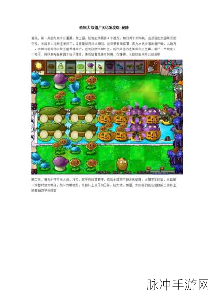 植物大战僵尸无尽模式新手入门全攻略,解锁无尽挑战的乐趣