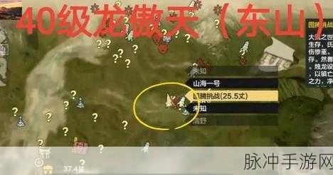 妄想山海逍遥粽位置揭秘，全面指南与探寻攻略
