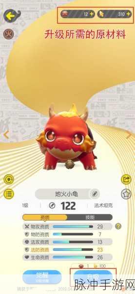 一起来捉妖地火小龟培养推荐全攻略