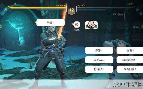 暗影格斗竞技场,正最新版本下载指南与深度攻略