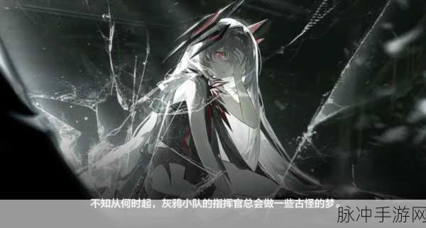 战双帕弥什里·乱数全面解析,升阶与专武培养优先级大揭秘