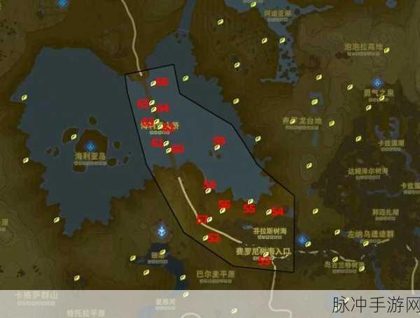 塞尔达传说,智慧之光再临费罗尼湿地心之碎片全收集探险指南