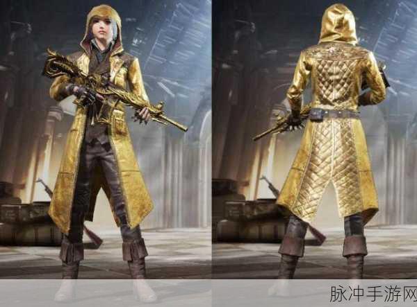 和平精英攻略,揭秘至尊金龙套装的领取之道