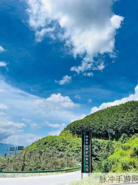 悠悠南山手机版下载，探索休闲种植的乐趣之旅