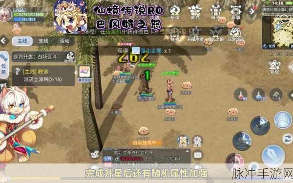 仙境传说手游深度攻略,刺客属性全面揭秘