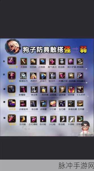 DNF手游辅助职业大盘点，四大核心辅助详解