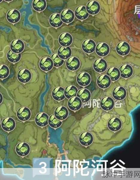 原神草神瞳全攻略,解锁翠绿秘境的详尽路线指南