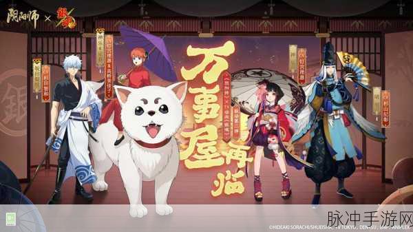 阴阳师银魂联动时间全解析,精彩联动不容错过