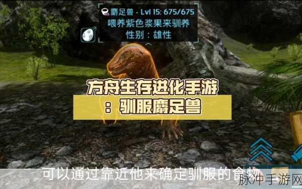 方舟生存进化手游独角兽驯服指南,揭秘独角兽的饮食偏好与驯服技巧