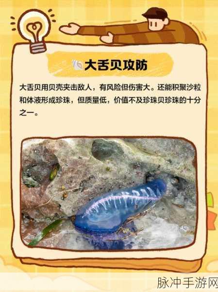 宝可梦大探险,大舌贝的进化之旅与机制深度剖析